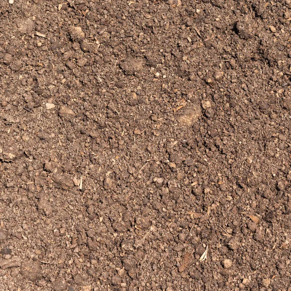 Fertile Soil Field Ground Mixed Peat — Stock Photo, Image