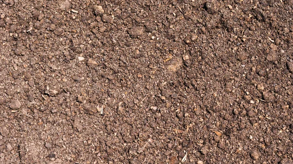 Fertile Soil Field Ground Mixed Peat — Stock Photo, Image