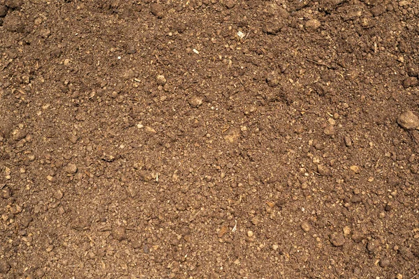 Fertile Soil Field Ground Mixed Peat — Stock Photo, Image