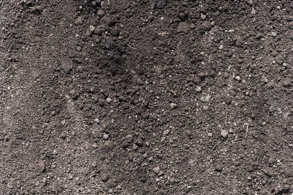 黒い土 ケルノゼム 植え付けのための最も肥沃な土壌 — ストック写真