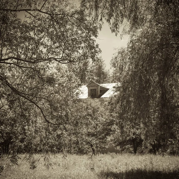 Retro Landskap Gammalt Hus Trädgården Överväxt Med Träd Sepia Toning — Stockfoto