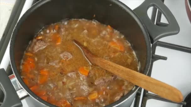 Cooking Beef Stew Vegetables Home Close Wooden Spoon Healthy Diet — Stock Video