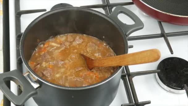 Koken Rundvlees Stoofpot Met Groenten Thuis Close Houten Lepel Gezonde — Stockvideo