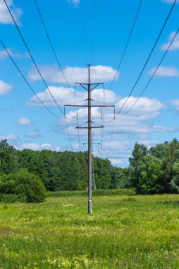 Yaz manzarası. Yüksek voltajlı elektrik hattı. Kırsal alandaki çayırların içinden geçiyor.