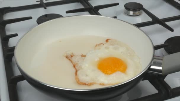 Œufs et tomates frits dans une poêle avec un revêtement antiadhésif blanc - petit déjeuner rapide
