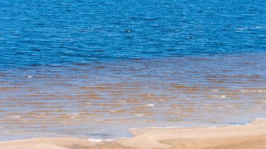 Deniz kıyısında, sığ suların altın gibi kumlu tabanı ve mavi suyun derinliğine geçiş - sığ ve derin sular arasındaki sınır.