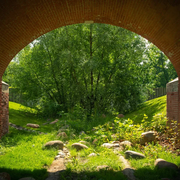 Hermoso Paisaje Verano Una Vista Arroyo Árboles Marchitos Cubiertos Piedras —  Fotos de Stock