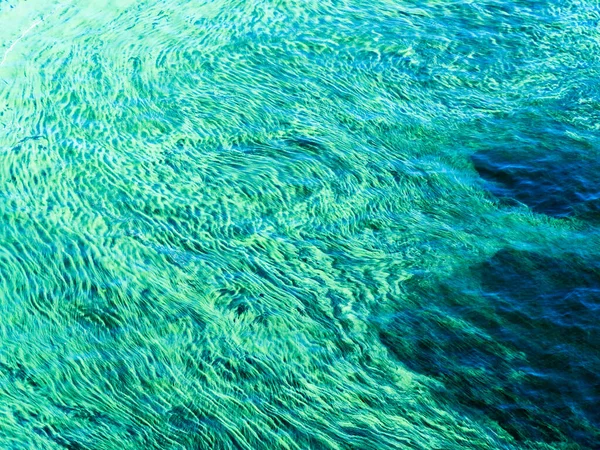 美丽的抽象背景 布满海藻的大型水面 — 图库照片