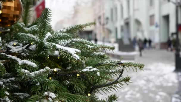 Üzerinde Kar Olan Ladin Dalları Planda Noel Oyuncakları Arka Planda — Stok video