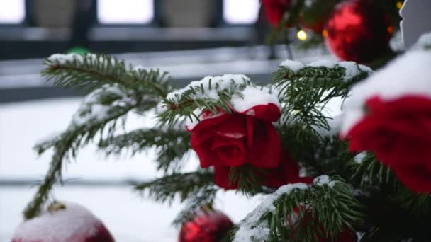 Las Ramas Abeto Con Nieve Juguetes Navidad Bolas Rojas Primer — Vídeo de stock