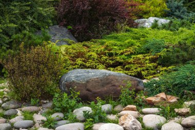 Dekoratif bir alp kaydırağı parçası, peyzaj tasarımı - kozalaklı kayalık, alp otları, taşlar ve büyük çakıl taşları