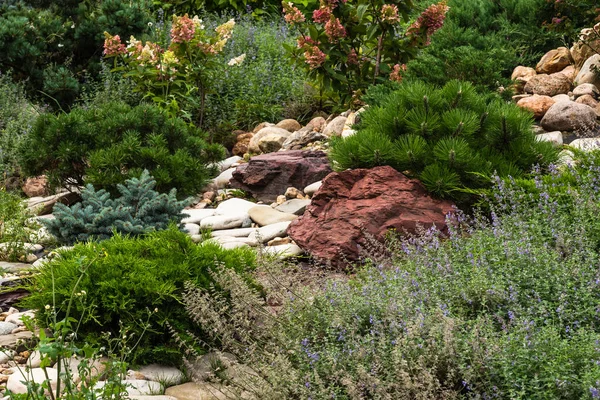 Fragmento Uma Corrediça Alpina Decorativa Desenho Paisagem Louça Com Coníferas — Fotografia de Stock