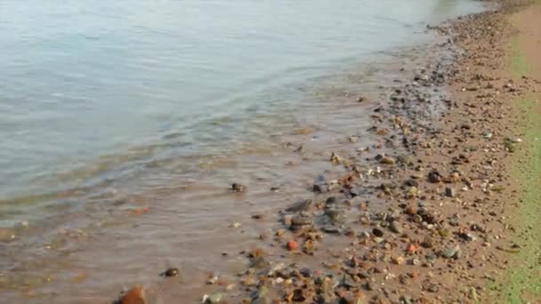 Gelombang Kecil Berjalan Atas Pantai Berpasir Dengan Kerikil Kecil Close — Stok Video