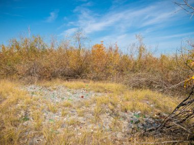 Plastik şişelerin gizli çöplüğü. Toprağın kirliliği, ekolojinin ihlali.