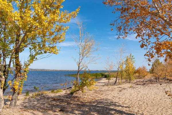 Riva Sabbiosa Della Baia Una Chiara Giornata Autunnale Alberi Con — Foto Stock