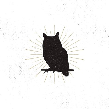 Baykuş silueti beyaz arka planda izole edilmiş. Siyah hayvan ikonu. Güneş patlamalarıyla dolu sağlam bir şablon. Stok vektörü izole edildi.