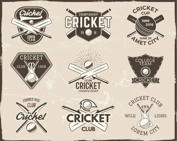Set Von Retro Cricket Sport Vorlage Logo Designs Verwendung Als — Stockvektor