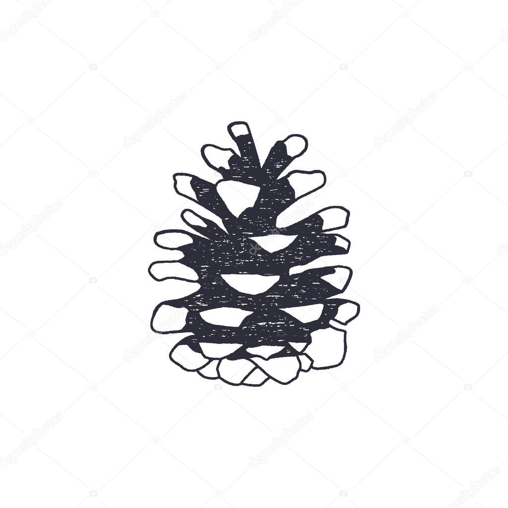 Vintage hand drawn conifer cone shape. Retro monochrome icon. Can be used for t shirts, prints, logotype, badges and other identity. Stock vector isolated on white background.