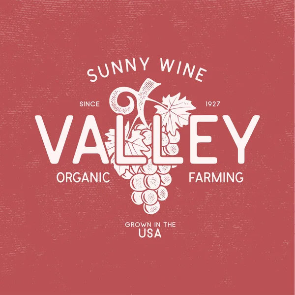 Sunny Wine Valley Negozio Logo Cantina Logo Modello Concetto Progettazione — Vettoriale Stock