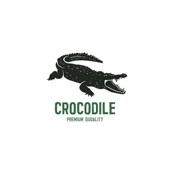 Šablona Loga Krokodýla Symbol Aligátora Krokodýl Textem Design Typografie Divokých — Stockový vektor