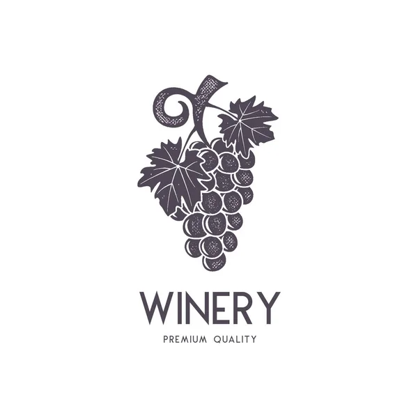 Wino Szablon Logo Winnicy Picie Logotyp Alkoholowy Symbol Napoju Monogram — Wektor stockowy