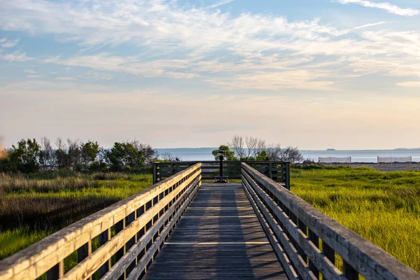 Pasarela Madera Campo — Foto de Stock