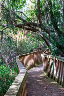parkta boş ahşap broadwalk
