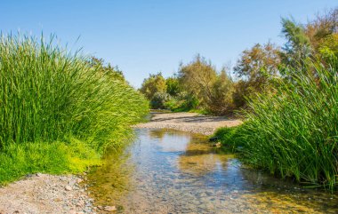Güzel nehir vadisi, Suudi Arabistan, Al taif 'te.