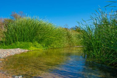 Güzel nehir vadisi, Suudi Arabistan, Al taif 'te.