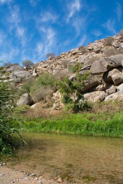 Güzel nehir vadisi, Suudi Arabistan, Al taif 'te.