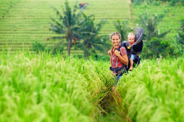 Příroda Procházka Zelené Rýžové Terase Pole Šťastná Matka Drží Malého — Stock fotografie