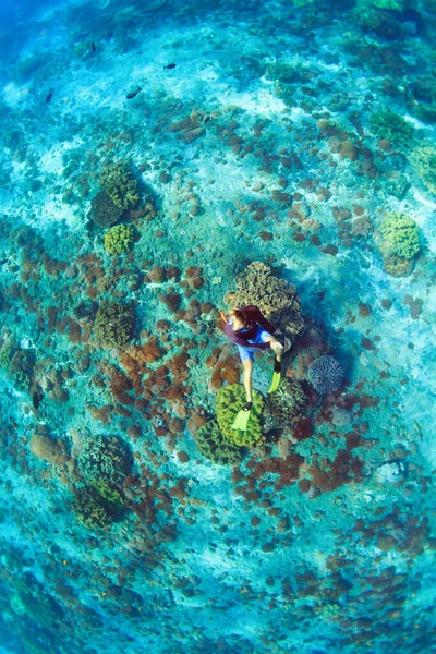 幸せな家族の休暇 サンゴ礁の海のプールで熱帯魚と水中でカメラダイビングとシュノーケリングマスクの男 旅行ライフスタイル ウォータースポーツアウトドアアドベンチャー 夏のビーチの休日に水泳 — ストック写真