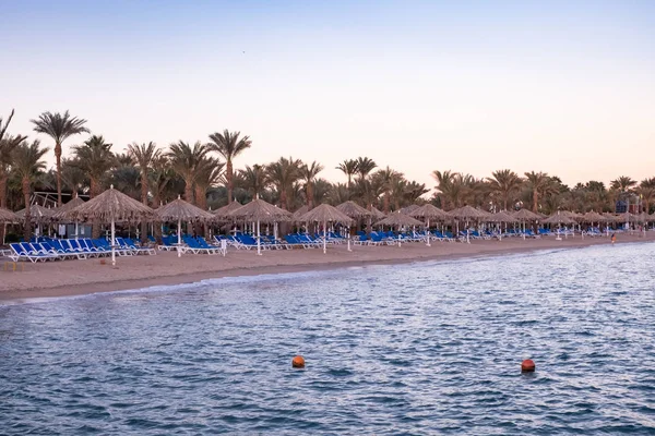 Côte d'Egypte avec des palmiers au lever du soleil. Espace publicitaire — Photo
