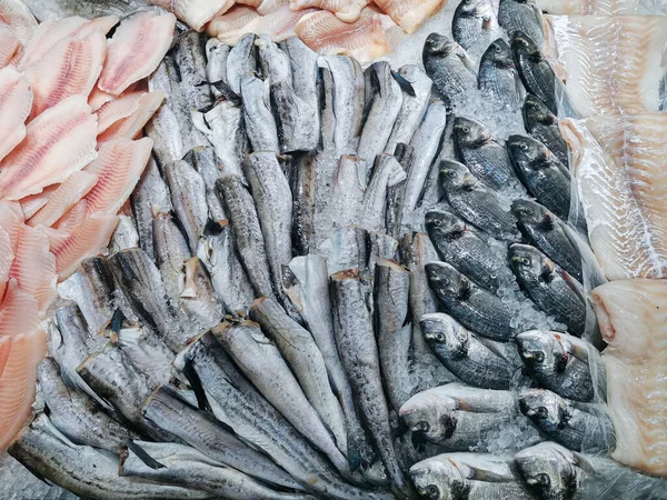 Verse Vis Markt Prachtig Aangelegd Ijs Vers Dorado Gestripte Pollock — Stockfoto