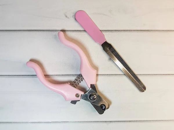 Grooming scissors with pink handles and emery board for pet on a light wooden background. Grooming tools for the hygienic care of pets cats and dogs.