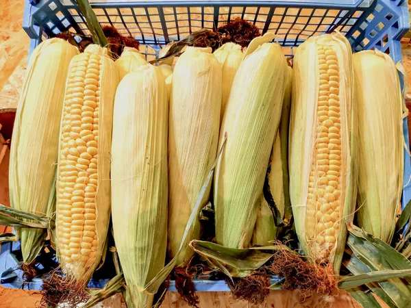Неочищені Вуха Кукурудзи Синій Пластиковій Коробці Ринку Фермерів Кукурудза Використовується — стокове фото