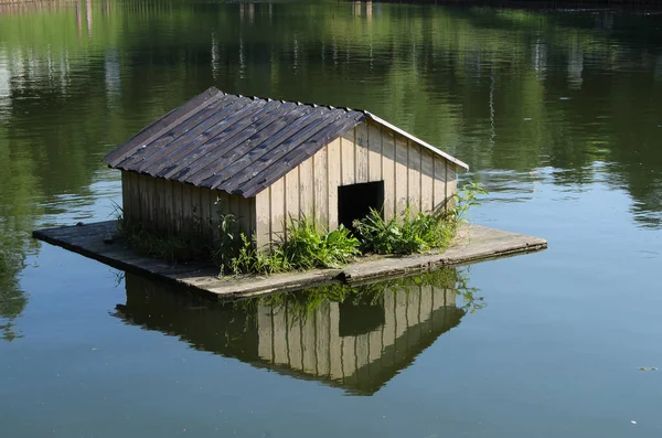 Maison Flottante Bois Pour Canards Sur Étang Vue Sur Nature — Photo