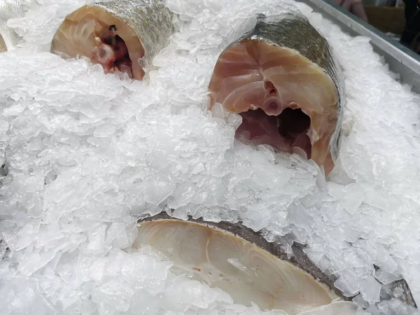 Contador Peixe Fresco Mercado Deitado Bifes Peixe Marinho Branco Gelado — Fotografia de Stock