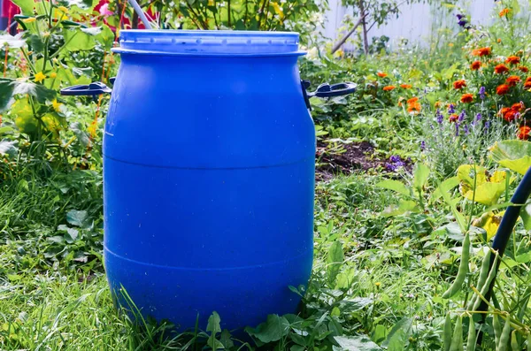 Bahçede kapı kolları olan büyük mavi bir plastik bahçe fıçısı. Güneşli bir yaz gününde bahçede yağmur suyu tankı. Bahçedeki nesneler.