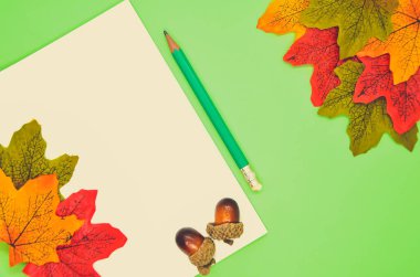 Kalemli defter, sonbahar yaprakları ve soluk mavi arka planda meşe palamudu. Kırtasiyeyle geçen bir sonbahar. Yazarın çalışma yeri, kişisel günlük tutmak. Seçici yumuşak odak, üst görünüm