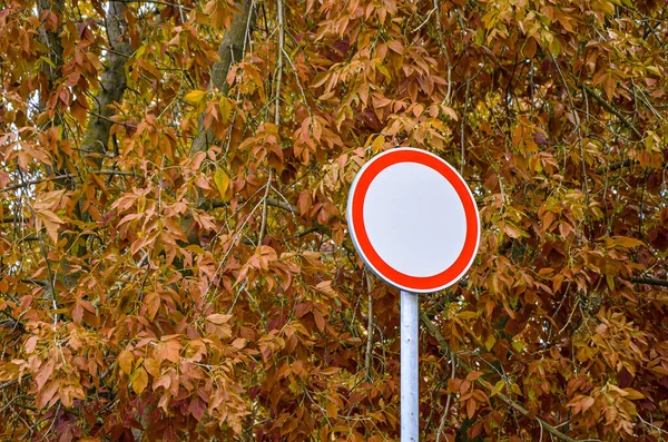 Ronde Verbodsbord Geen Verkeer Tegen Achtergrond Van Vergeelde Herfstbomen Het — Stockfoto