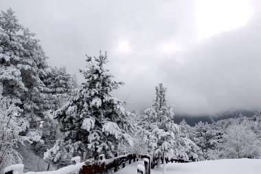 Madrid dağlarının kış manzarası tamamen karla kaplı donmuş nehirler ve ağaçlarla