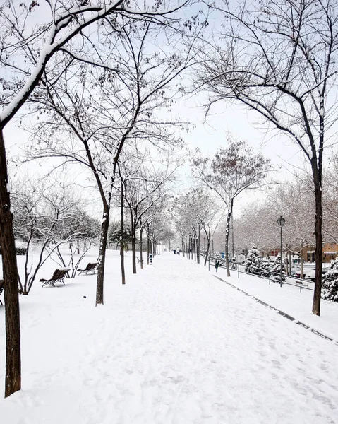 Winterszene Den Bergen Madrids Mit Zugefrorenen Flüssen Und Schneebedeckten Bäumen — Stockfoto