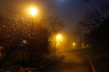 Madrid, İspanya 15 Ocak 2019 soğuk bir kış gecesinde Madrid 'in parkları ve caddelerinde yoğun sis var.