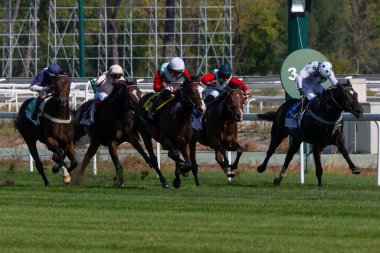 Madrid, İspanya - 18 Ekim 2020 Madrid 'deki La Zarzuela yarış pistinde at yarışı