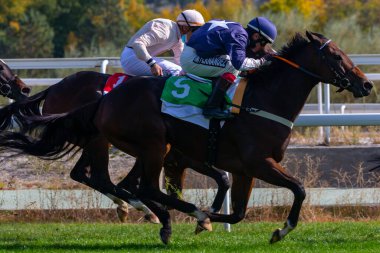 Madrid, İspanya - 18 Ekim 2020 Madrid 'deki La Zarzuela yarış pistinde at yarışı