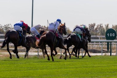 Madrid, İspanya - 18 Ekim 2020 Madrid 'deki La Zarzuela yarış pistinde at yarışı