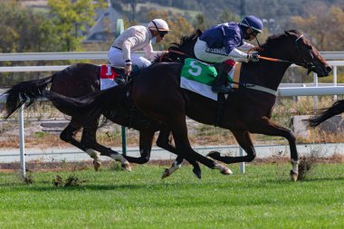 Madrid, İspanya - 18 Ekim 2020 Madrid 'deki La Zarzuela yarış pistinde at yarışı