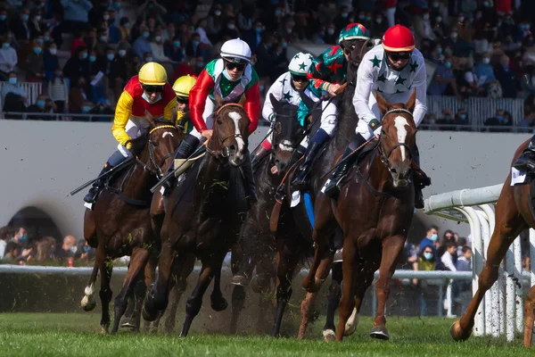 Madrid Spain October 2020 Horse Race Zarzuela Racecourse Madrid — Stock Photo, Image