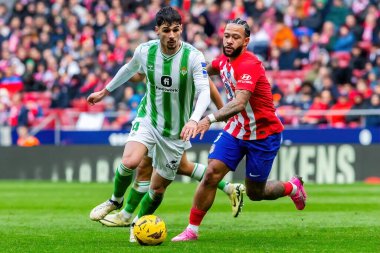 Madrid, İspanya - 3 Mart 2024: Atletico de Madrid ile Real Betis arasındaki lig maçı. Top gerçek Betis oyuncularında. Profesyonel futbol.